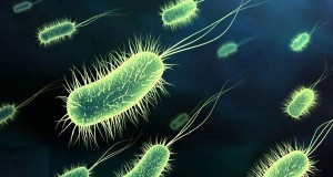 Antibiotics and Probiotics – What You Need to Know