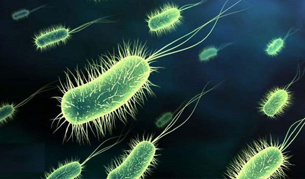 Antibiotics and Probiotics – What You Need to Know