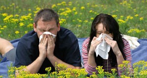 Allergies and Hay Fever