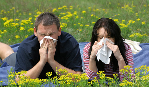 Allergies and Hay Fever